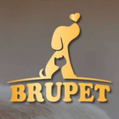 Brupet