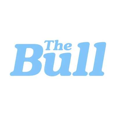 The Bull