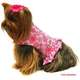 Capa-Summer-Rosa---Tam.-01