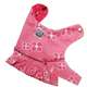 Capa-Summer-Rosa---Tam.-01_2