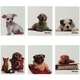 MousePad Dogs - Filhote Bulldog