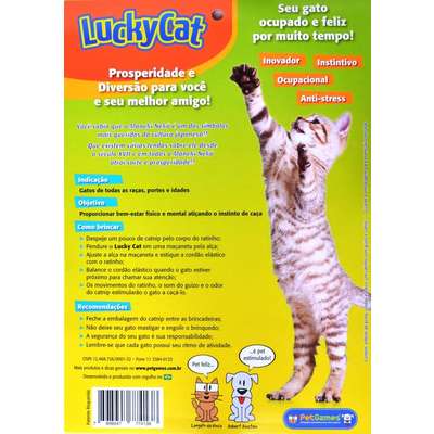Brinquedo Lucky Cat