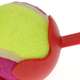 Bola de Tênis com Arremessador Lanceball American Pets