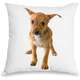 Capa para Almofada Coleção Love Dogs - Pinscher
