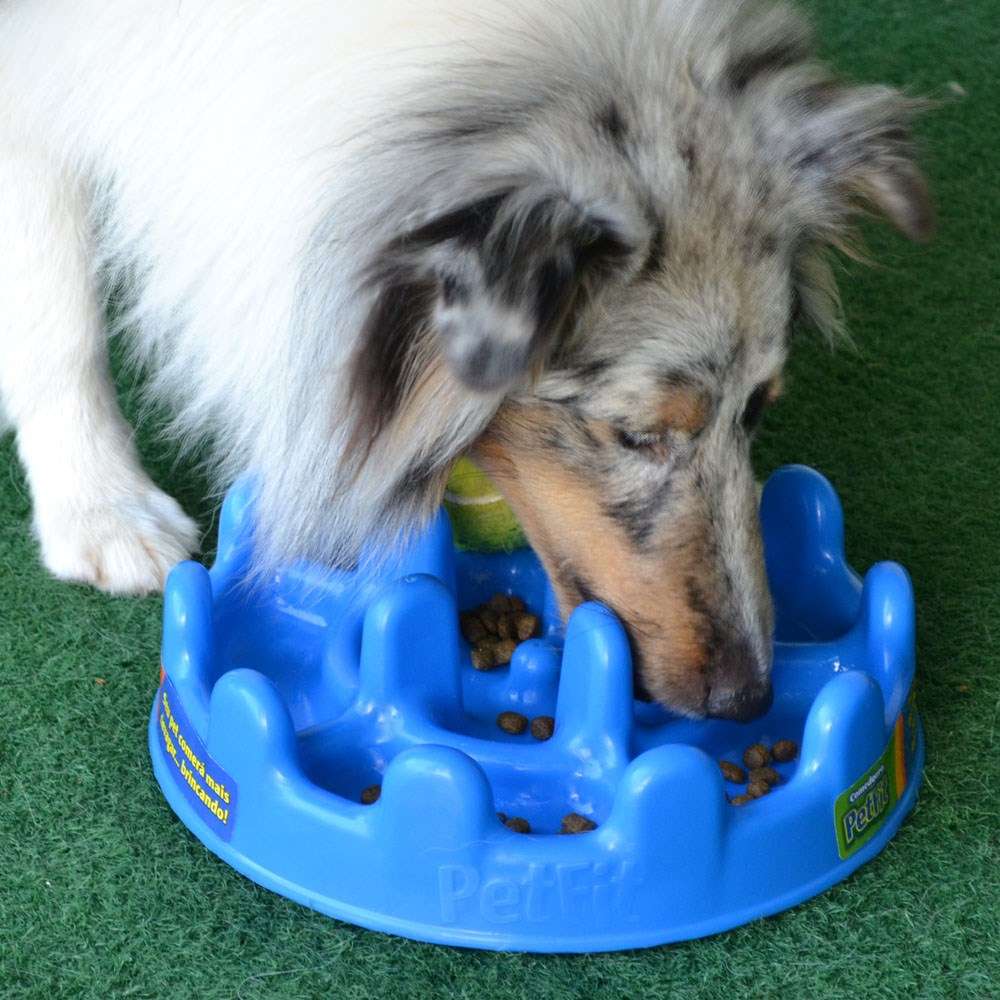 Comedouro Interativo Pet Games PetFit Azul - Tam. Único