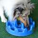 Comedouro Interativo Pet Games PetFit - Azul
