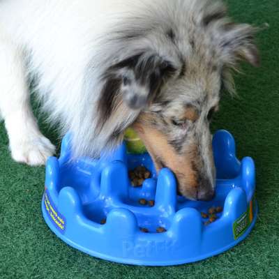 Comedouro Interativo Pet Games PetFit - Azul