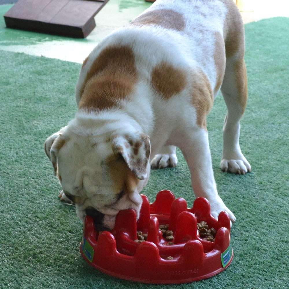 Comedouro Interativo Pet Games PetFit Vermelho - Tam. Único
