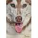 Livro Anjo de Quatro Patas