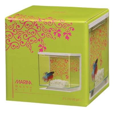 Betta Kit Menina