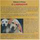DVD O Labrador