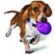 Brinquedo Amicus Twist N' Treat - Tam P