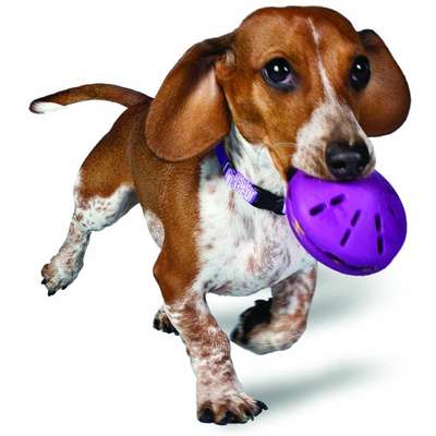 Brinquedo Amicus Twist N' Treat - Tam P