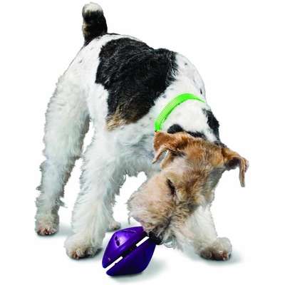 Brinquedo Amicus Twist N' Treat - Tam P