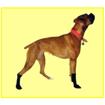 Protetor de Patas - N°0