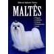 Livro Maltês: Origem, Cuidados, Criação, Treinamento e Saúde