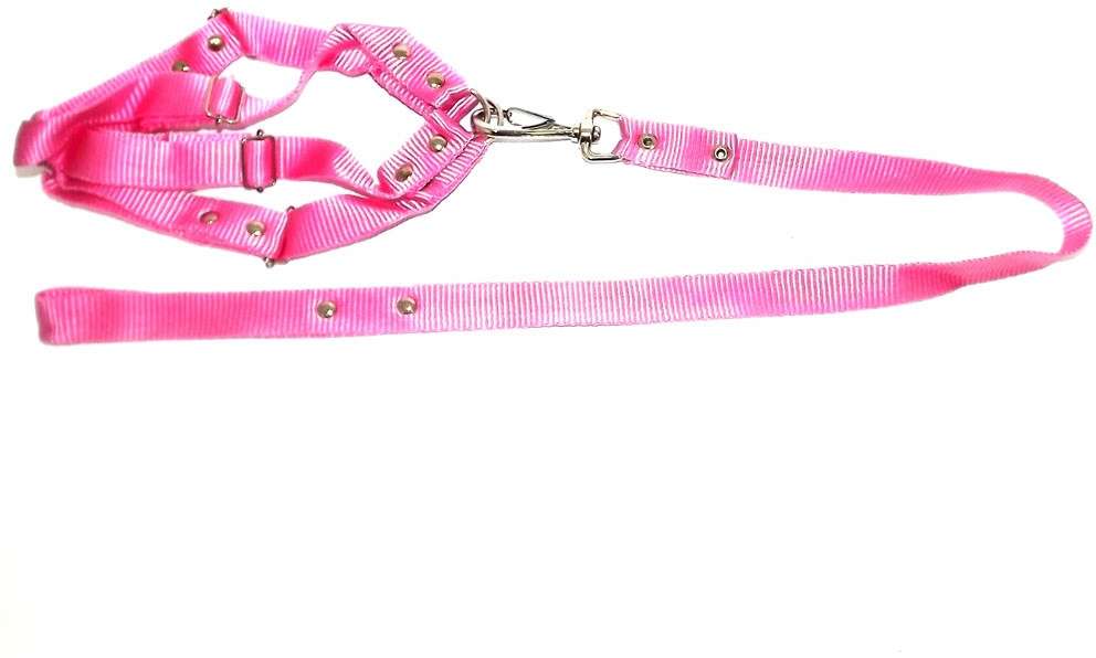 Conjunto Guia de Seda com Peitoral Rosa - Tam. P