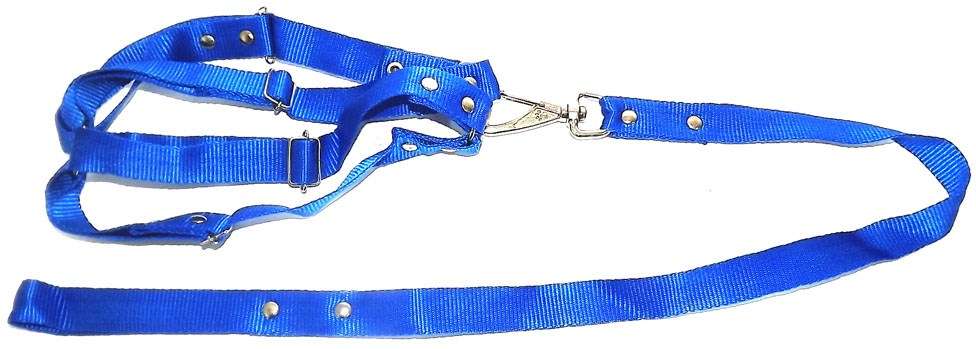 Conjunto Guia de Seda com Peitoral Azul - Tam. Mini