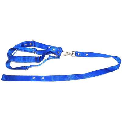 Conjunto Guia de Seda com Peitoral Azul - Grande