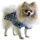 Camisa Xadrez Bichinho Chic - Azul no Cachorro
