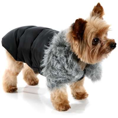 Jaqueta Luxo Preto - Tam 00
