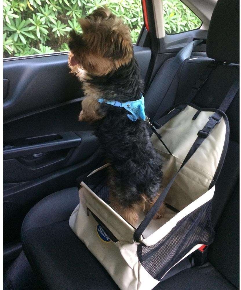 Assento Car Seat Chalesco Rosa para Cães e Gatos - Tam. Único