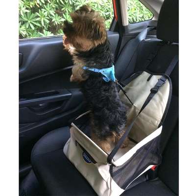 Assento Car Seat Chalesco para Cães e Gatos - Azul