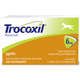 Anti-inflamatório Zoetis Trocoxil de 2 Comprimidos - 6 mg
