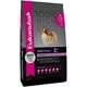 Ração Eukanuba Adult Small Breed Pequeno Porte