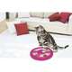 Brinquedo Pawise Interativo pra Gatos