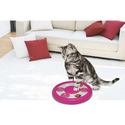 Brinquedo Pawise Interativo pra Gatos