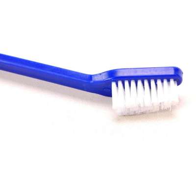 Escova de Dente Cabo Longo American Pets - 1 Unidade