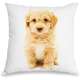 Capa para Almofada Coleção Love Dogs - Poodle