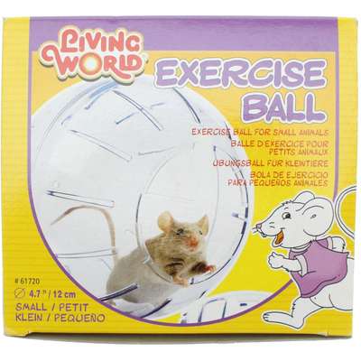 Globo de Exercício Hamster - Tamanho M