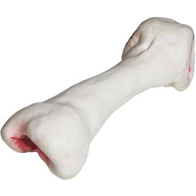 Osso Branco de Vinil  Futon Dog & Home