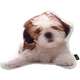 Almofada Pelúcia Coleção Cute Dogs - Shih tzu