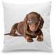 Capa para Almofada Coleção Love Dogs - Dachshund Salsicha