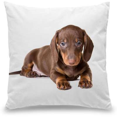 Capa para Almofada Coleção Love Dogs - Dachshund Salsicha