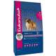 Ração Eukanuba Sênior Small Breed - 1kg