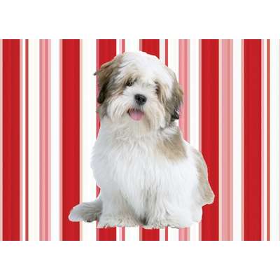 Capa de Traveseiro - Lhasa