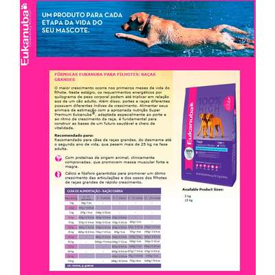 Ração Eukanuba Puppy Large Breed - 15kg