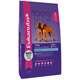 Ração Eukanuba Puppy Large Breed - 15kg