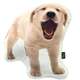Almofada Pelúcia Coleção Cute Dogs - Golden Retriever