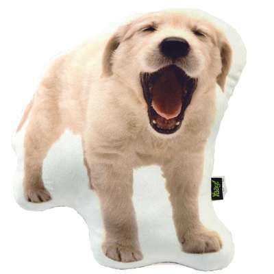Almofada Pelúcia Coleção Cute Dogs - Golden Retriever
