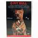 DVD Adestramento de Pit Bull