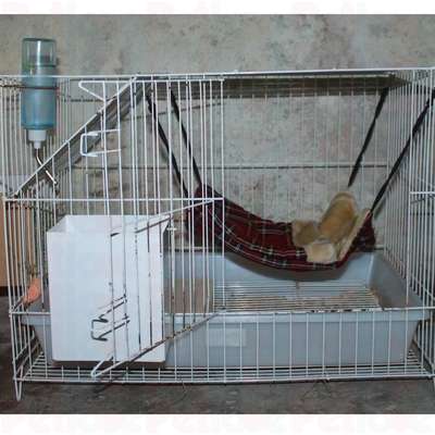 Saco-de-Dormir-para-Ferrets-e-Furao