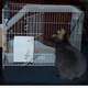 Saco-de-Dormir-para-Ferrets-e-Furao