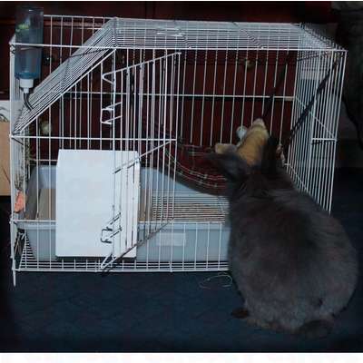 Saco-de-Dormir-para-Ferrets-e-Furao