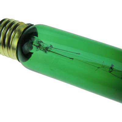 Lâmpada ZooMed Incandescente Hightlights 15W - Verde