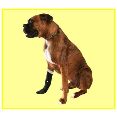 Protetor de Patas - N°0